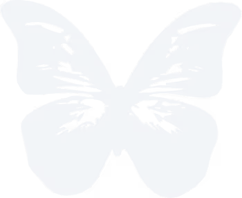 blue butterfly