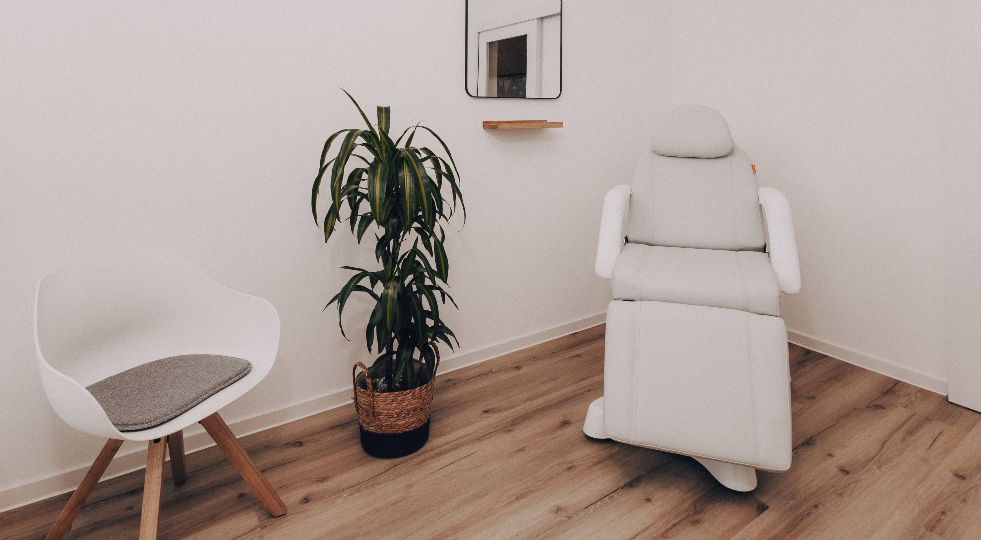 Beratungsraum Höhn Dentaltechnik mit Behandlungsstuhl und Pflanze – Zahnarzt-Kooperation und Einprobenraum