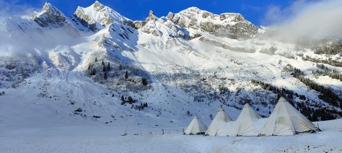 Laissez-vous guider par vos rêves
