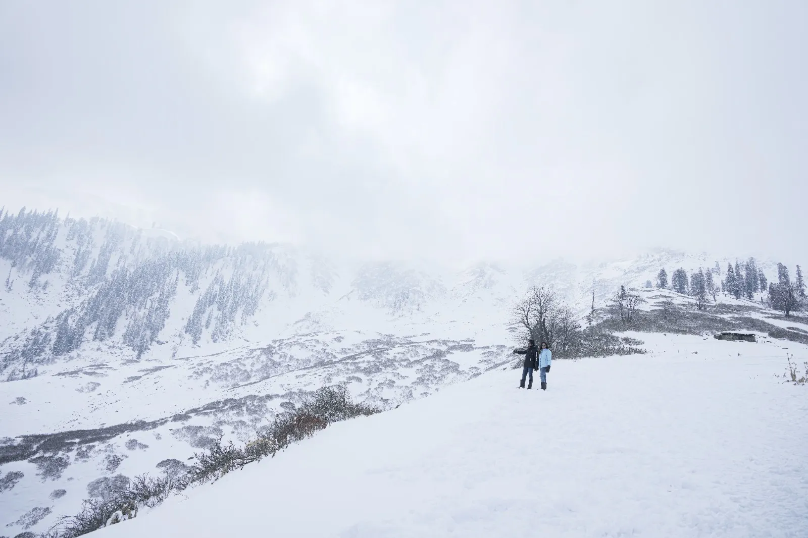 whympr-balade-neige