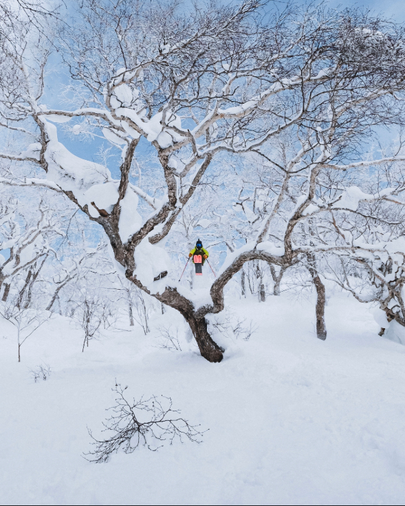 hors-piste-mont-blanc