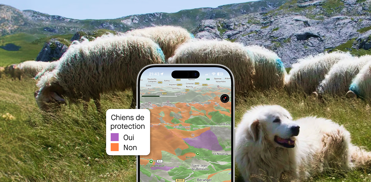 Guard dog Map: 2 new features to help you hike with even more information