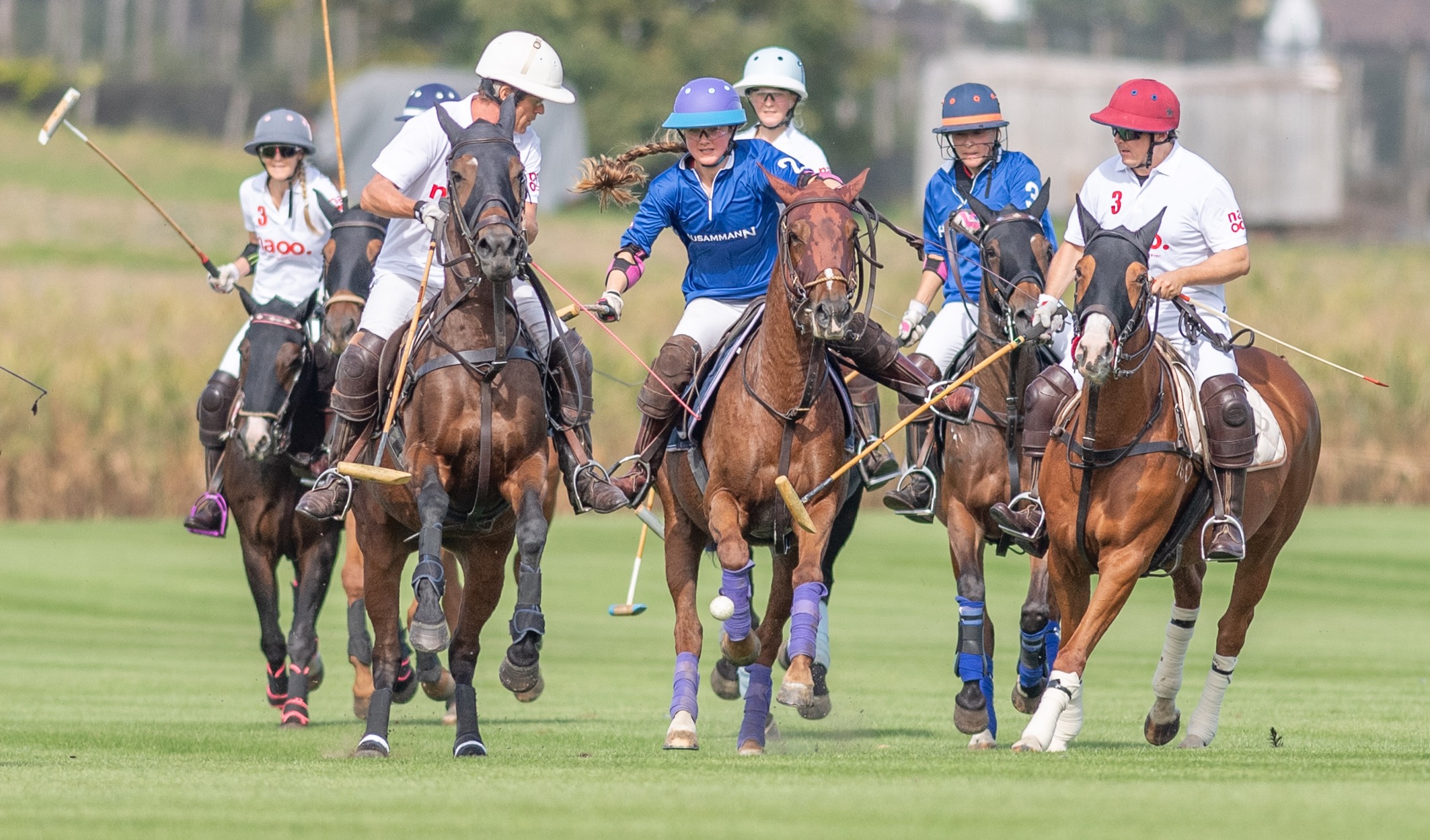Polo players on horseback during a match