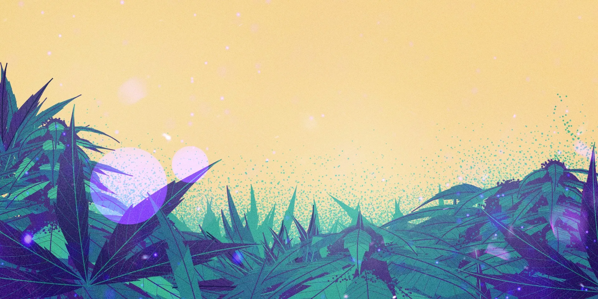 Abstract illustration of a vineyard landscape at sunset, with stylized plants and warm tones.