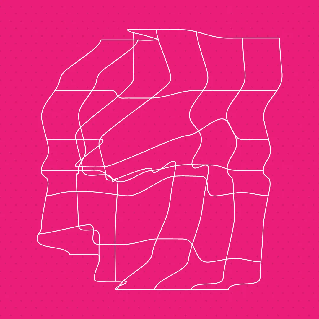 Abstract white line grid distorted over a pink background, suggesting fluid systems, data flow, and non-linear structures