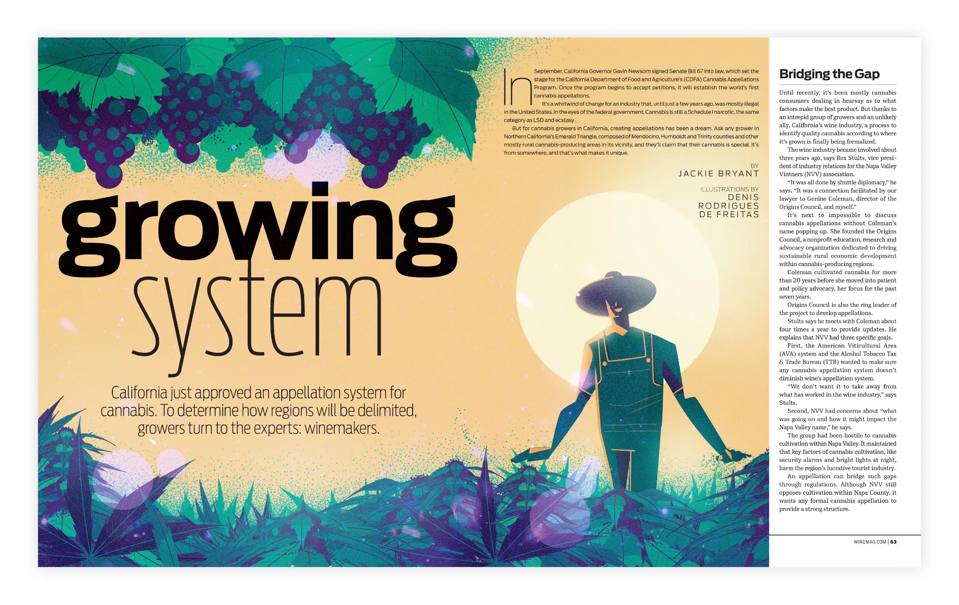 Editorial illustration layout for Wine Enthusiast magazine about the wine growing system.