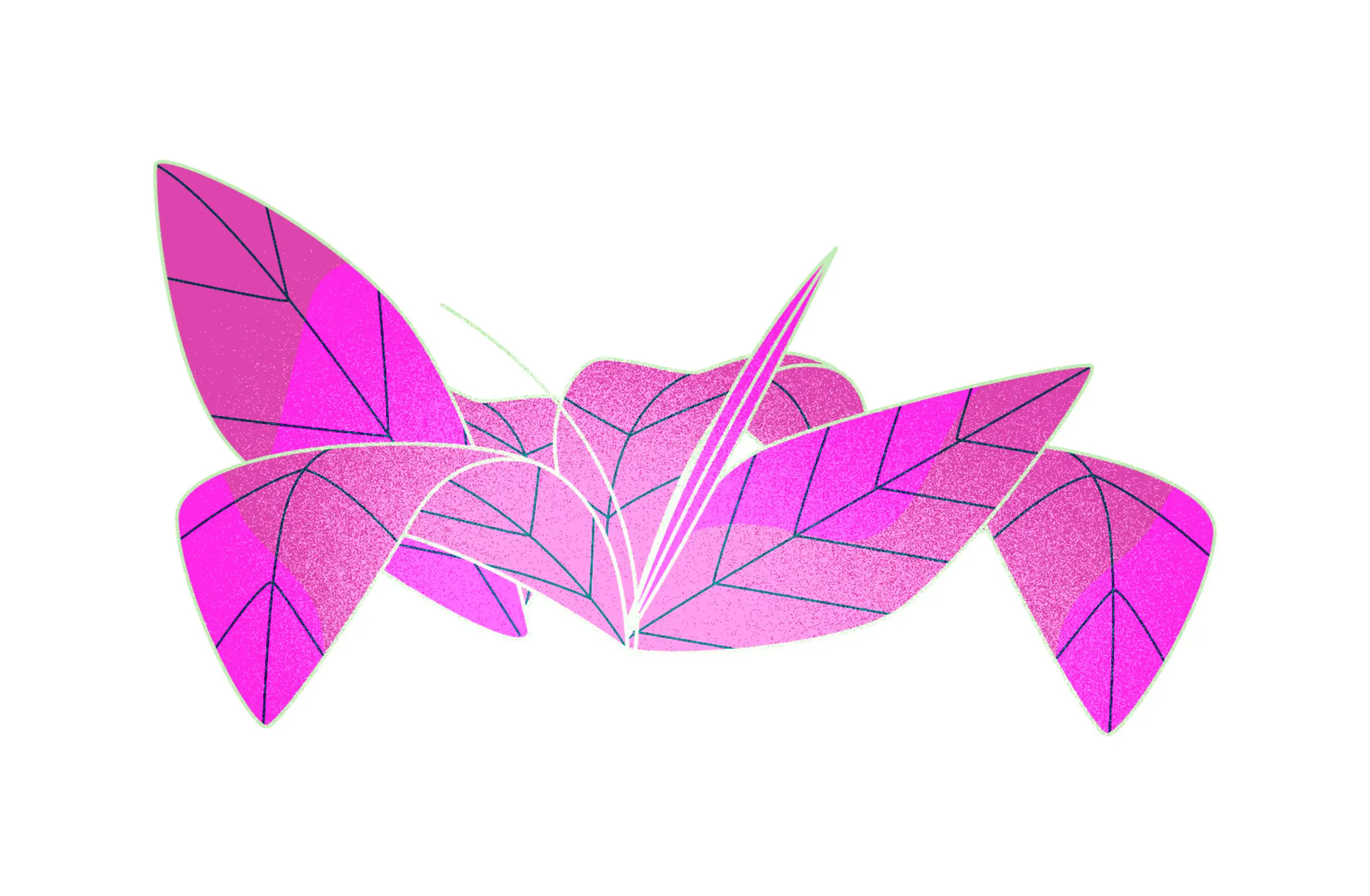 Abstract digital illustration of pink and purple stylized leaves with geometric vein patterns on a white background.