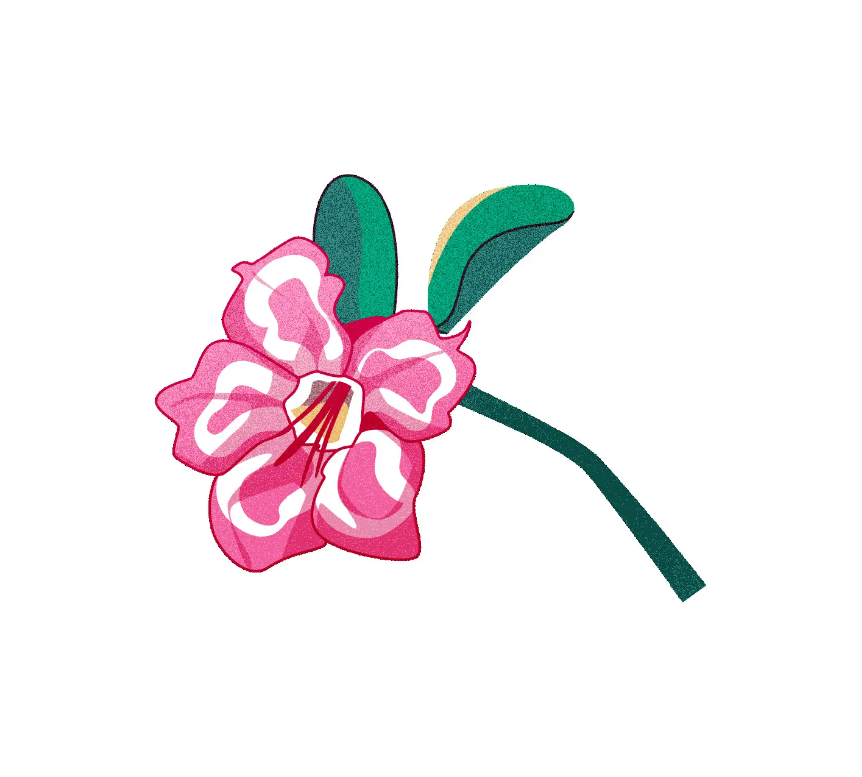Stylized pink and white flower with green leaves on a stem.