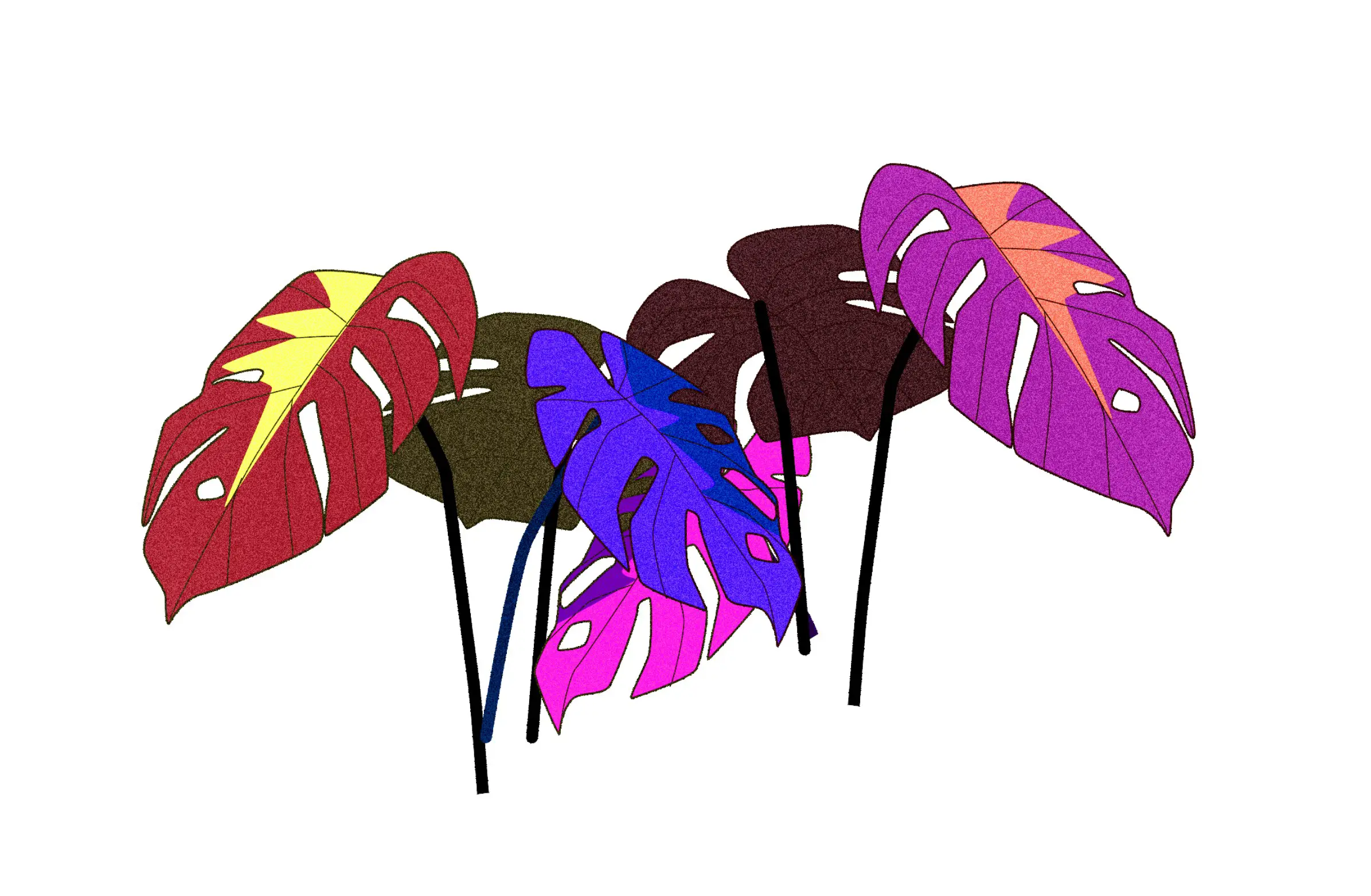 Stylized illustration of six colorful monstera leaves with black stems on a white background.