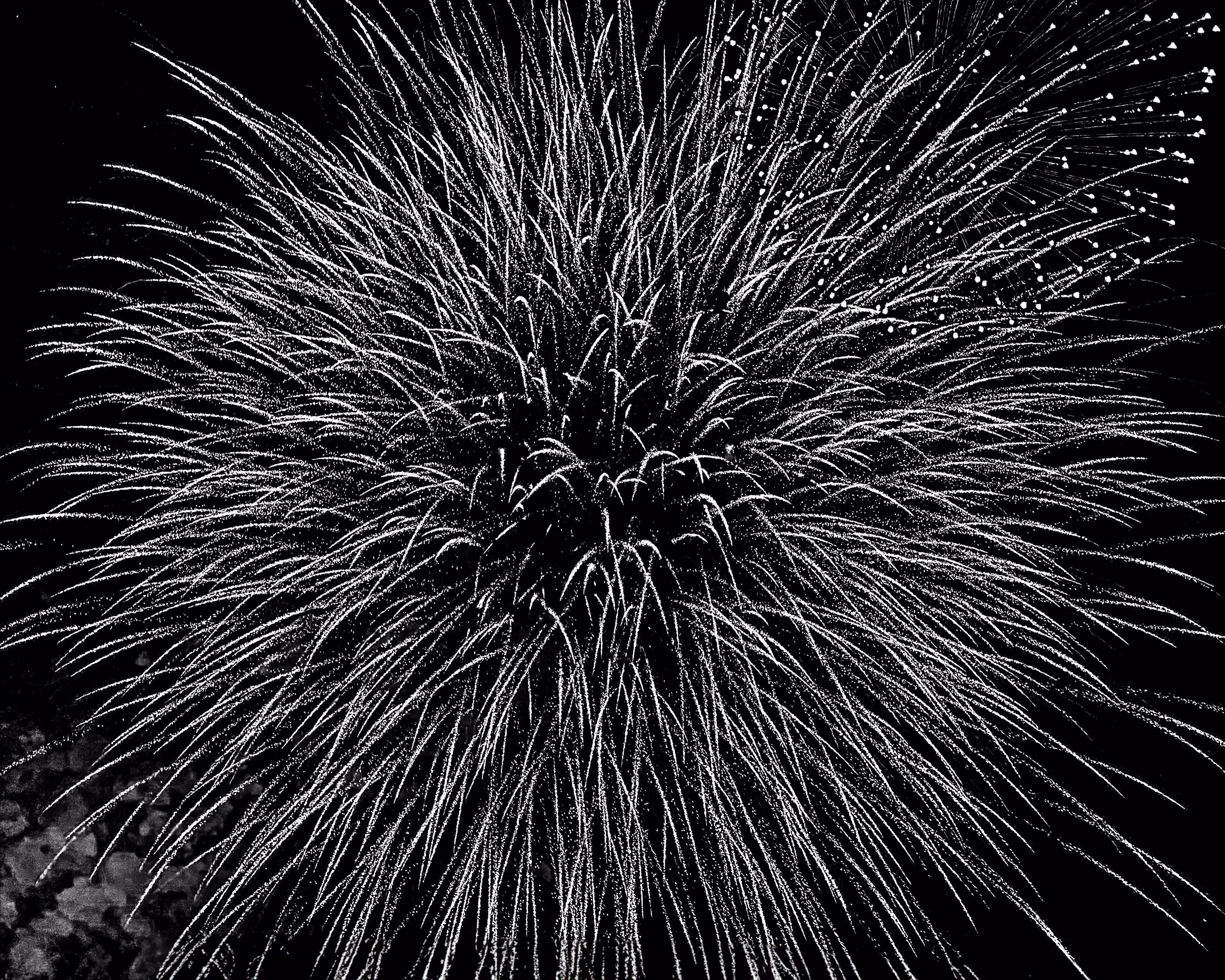 Fireworks in black and white