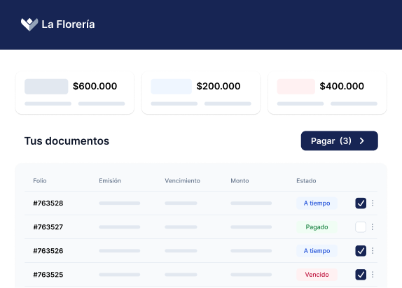 Vista simplificada de portal de cliente para pagar