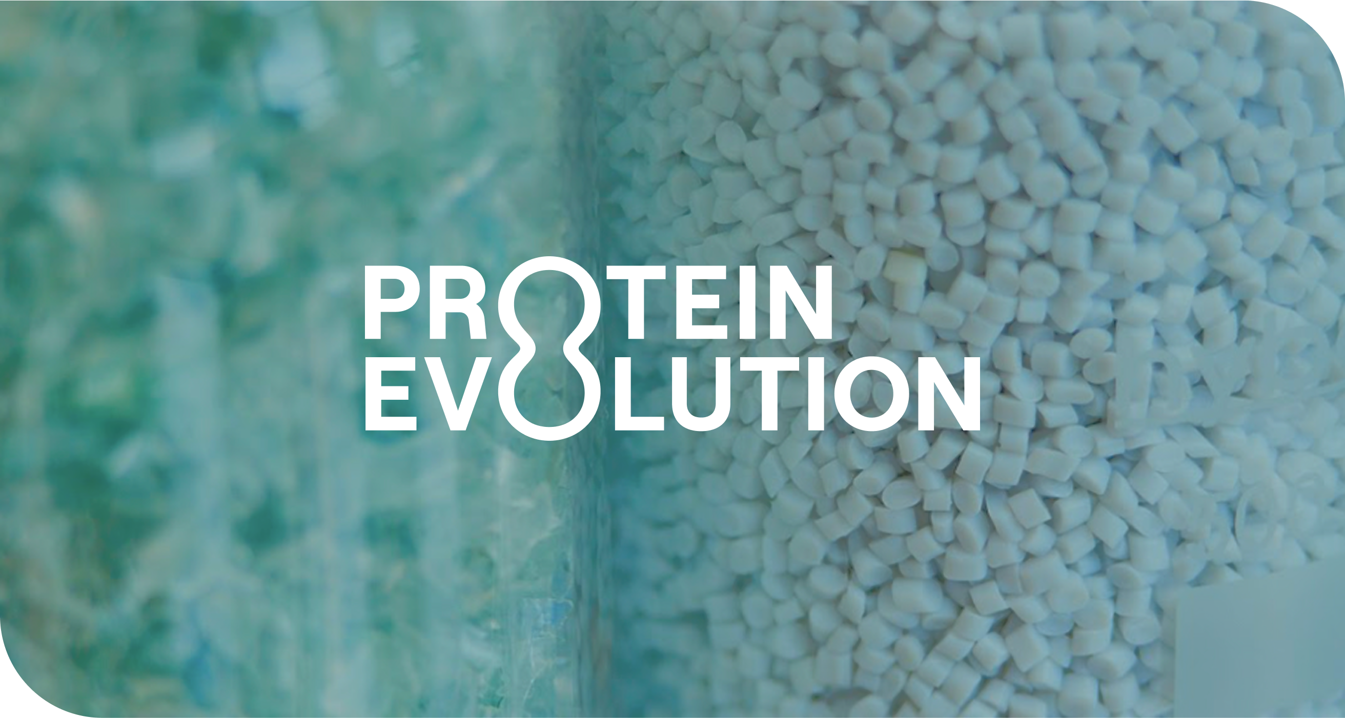 Protein Evolution 