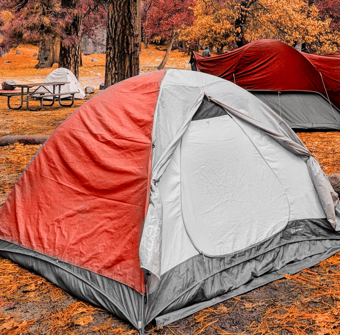 New camping experiences added to our list of Airbnb Experiences