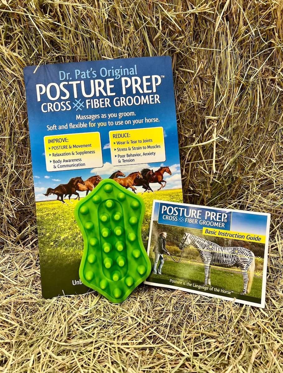 Product image of a posture prep curry comb