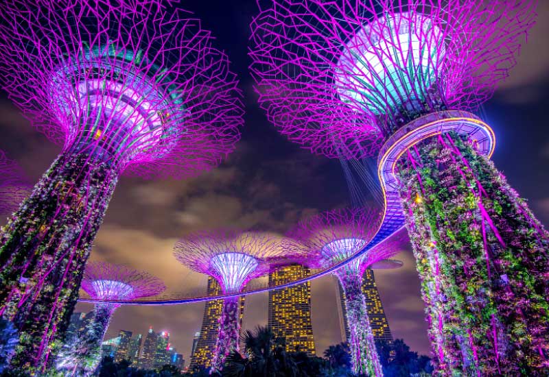 Beautifully lit Garden's by the Bay in Singapore at night time, displaying purple themed lights.