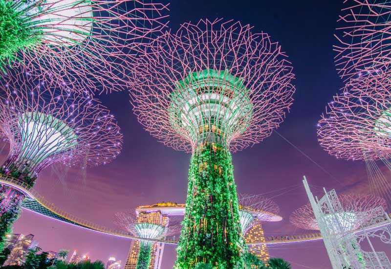 Singapore's Garden by the Bay light show from low angle