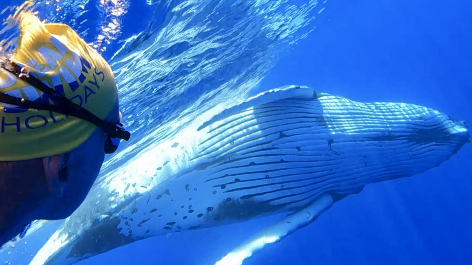 Hahei beach in Coromandel