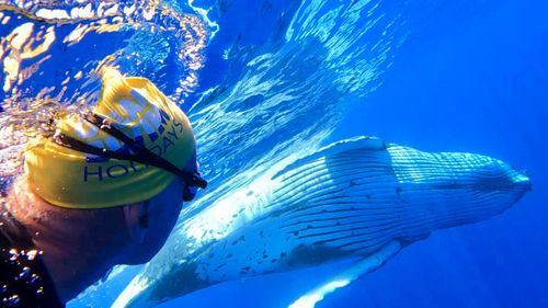 Hahei beach in Coromandel