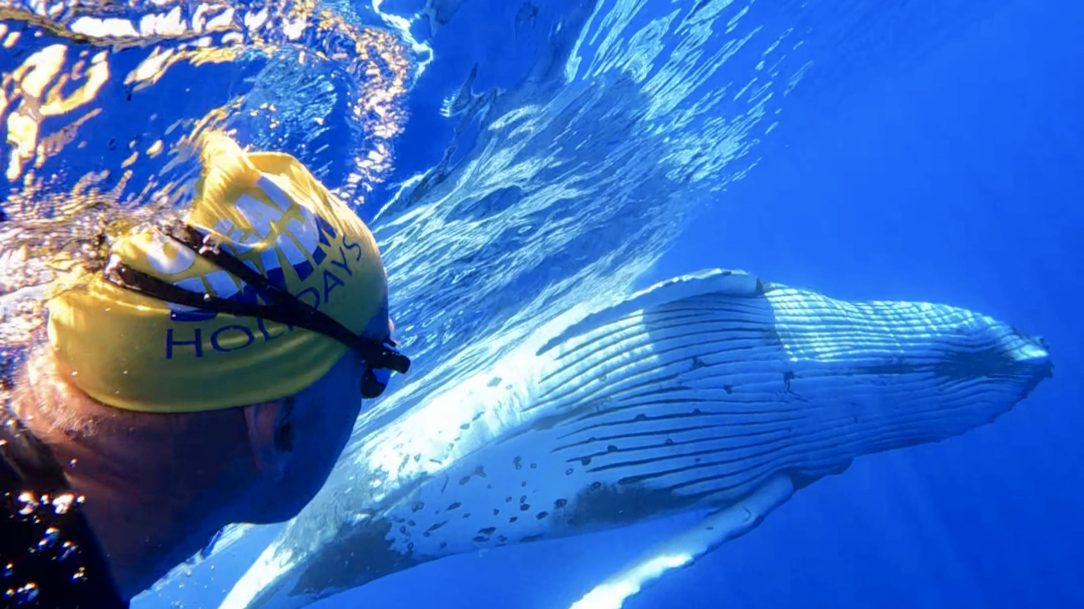 Hahei beach in Coromandel