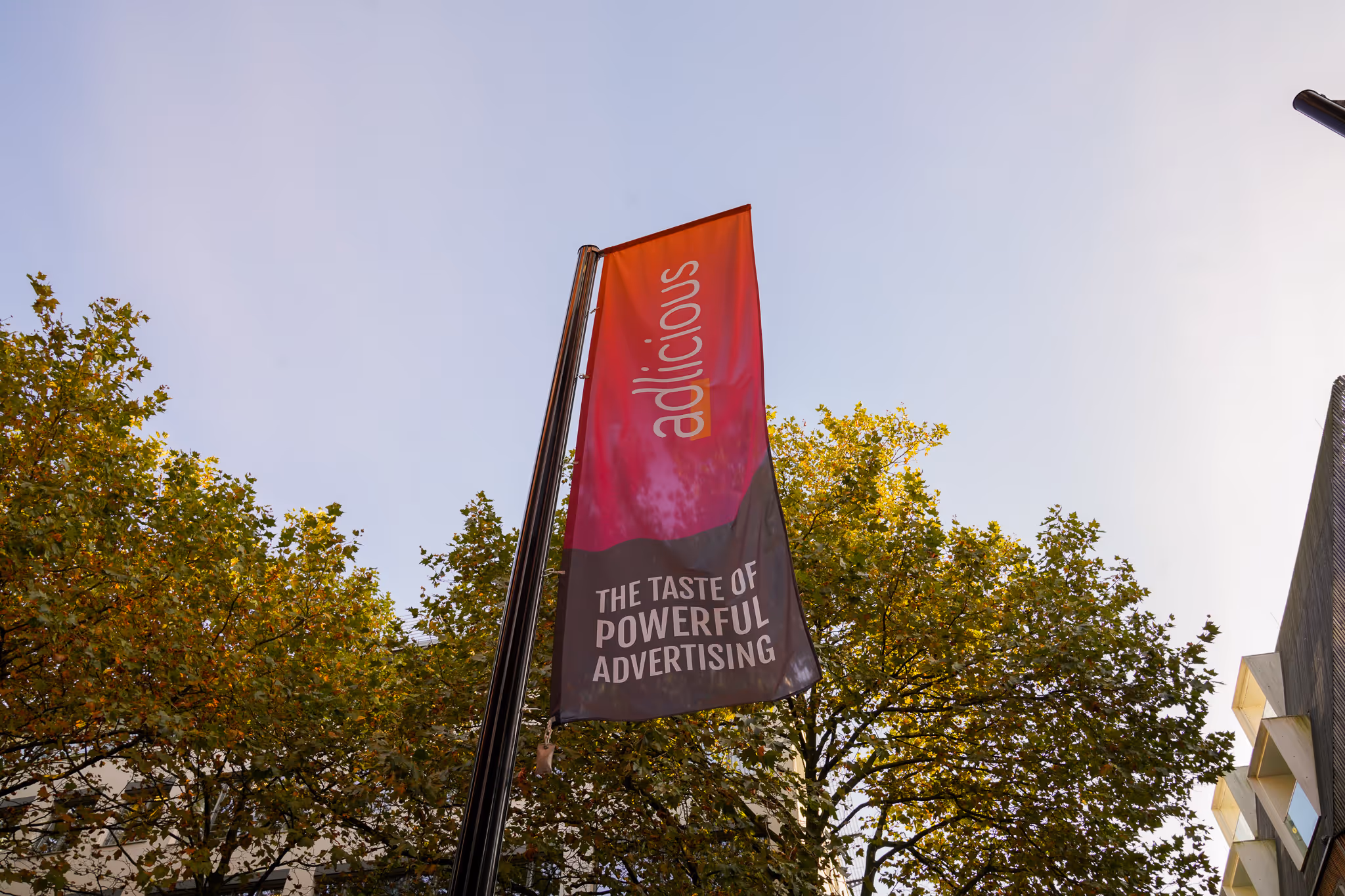 adlcious-Banner im Sonnenlicht