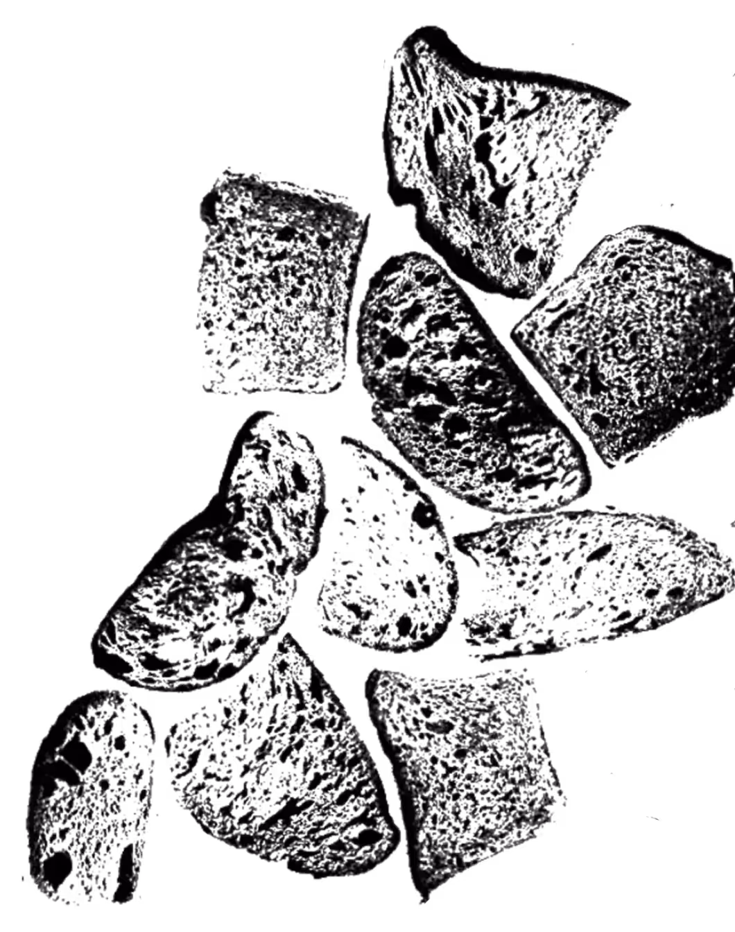 Rebread's black and white bread slices graphics