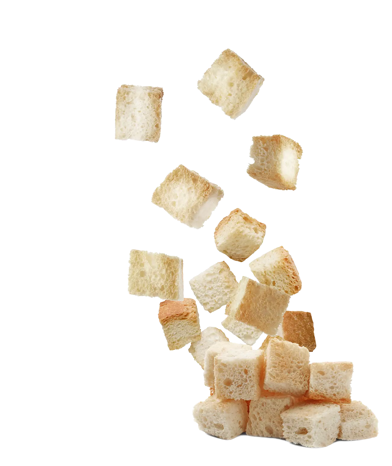 Join the Rebread Pioneers as a beginner in saving unsold bread