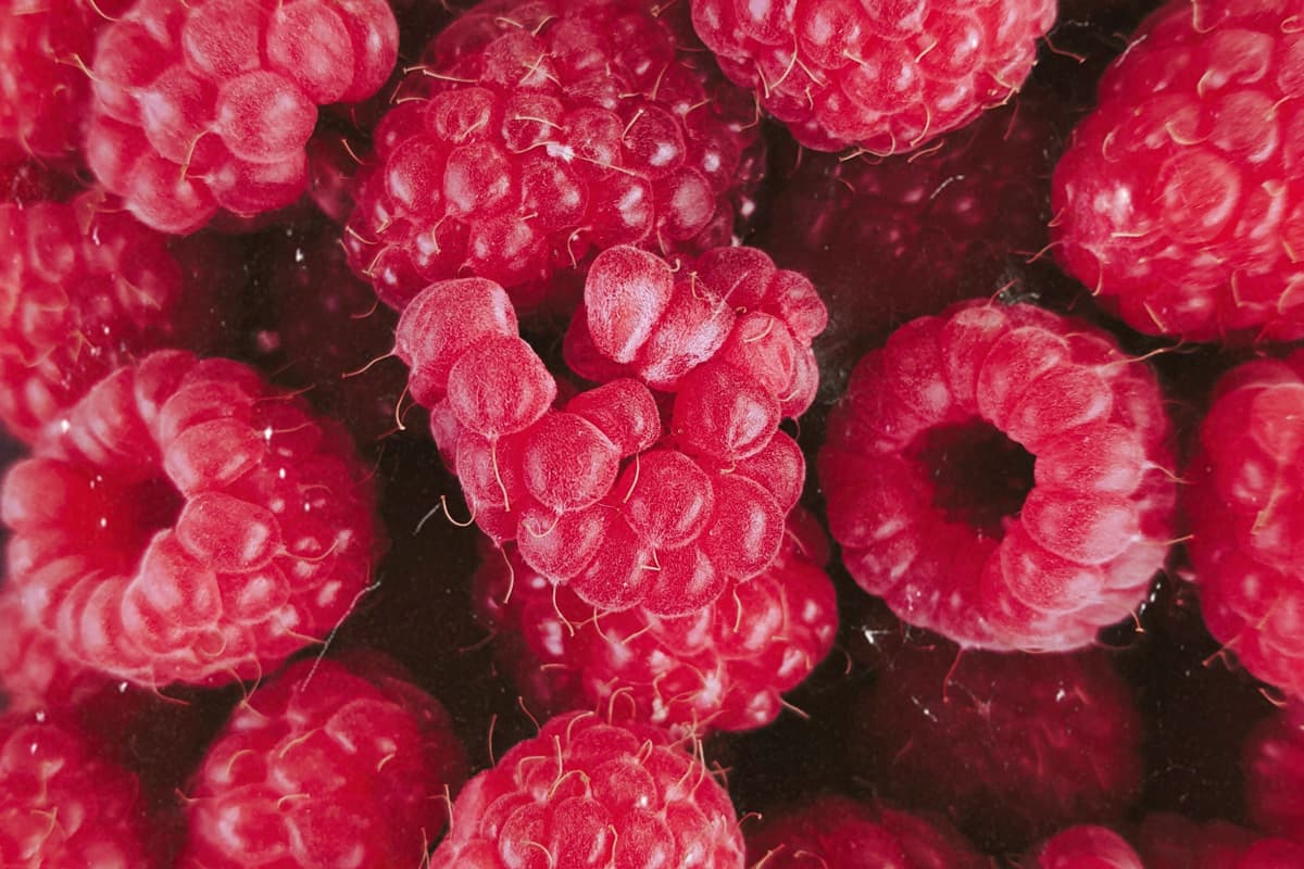 Framboise