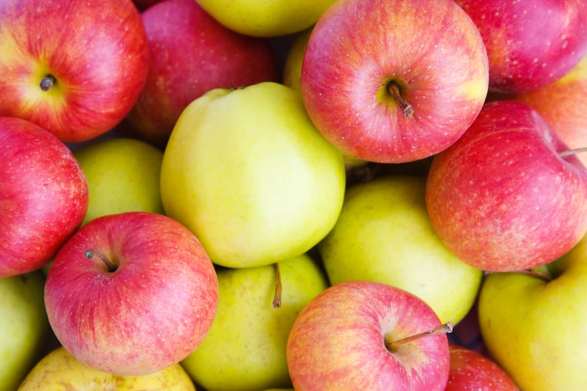 Appel