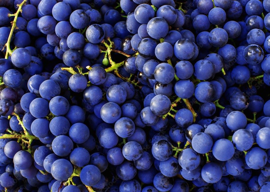 Raisins bleus