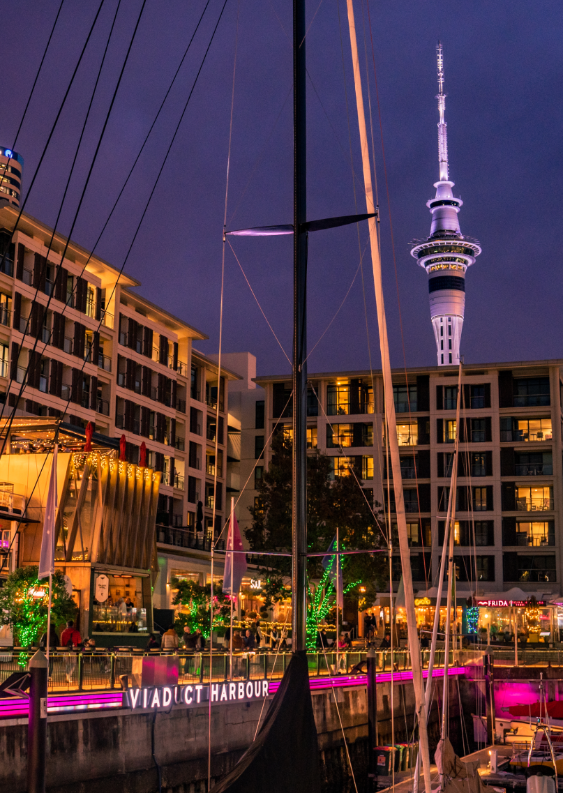 Viaduct Harbour Presents: Late Night Bites
