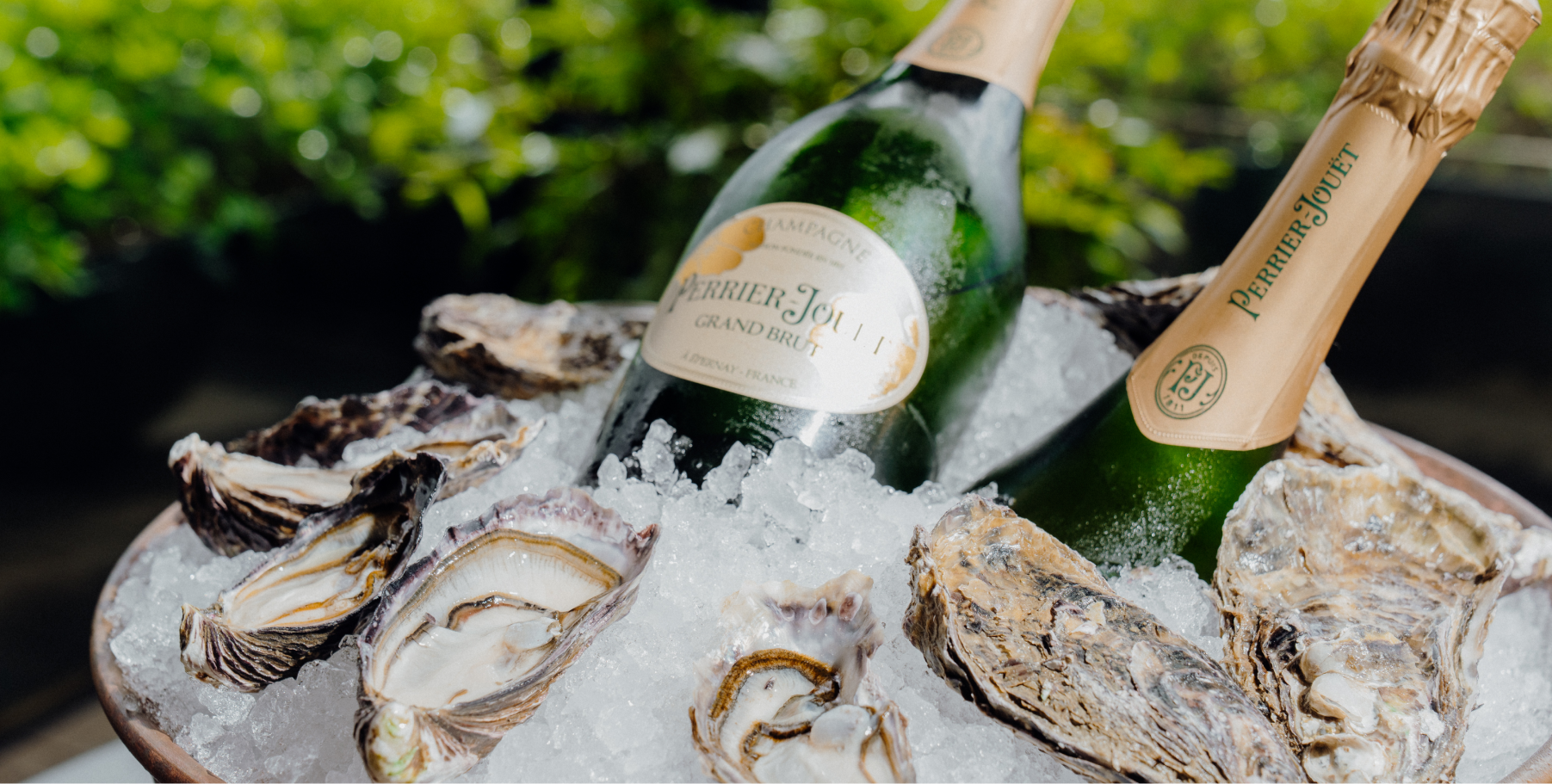 QT Presents: Sunday Catch