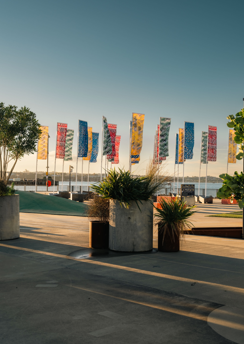 Flag Farm by A'aifou Potemani