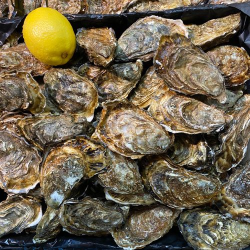 poissonnerie ouest lyonnais