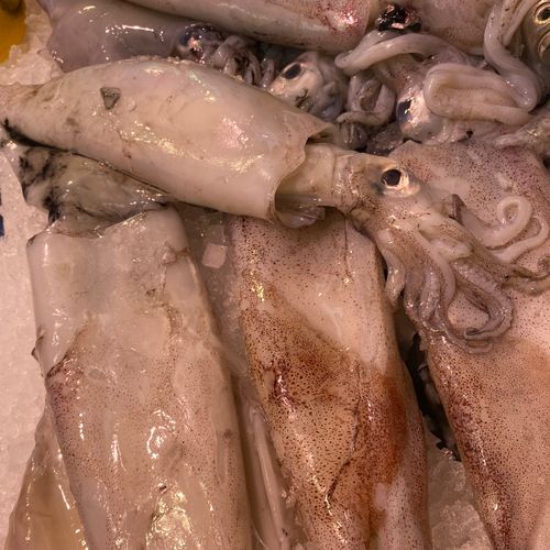 poissonnerie ouest lyonnais