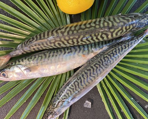 poissonnerie ouest lyonnais