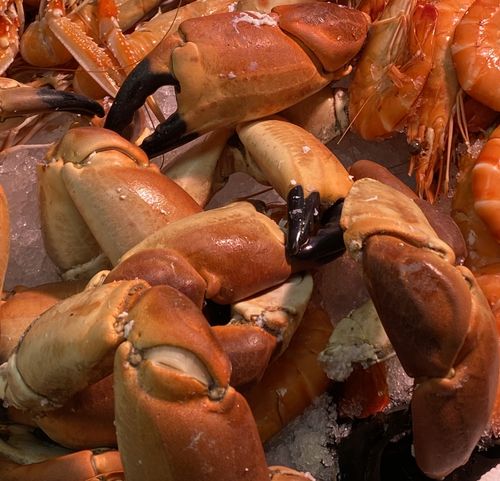 poissonnerie ouest lyonnais