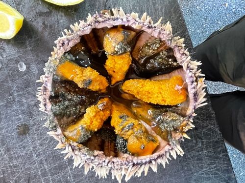 poissonnerie ouest lyonnais