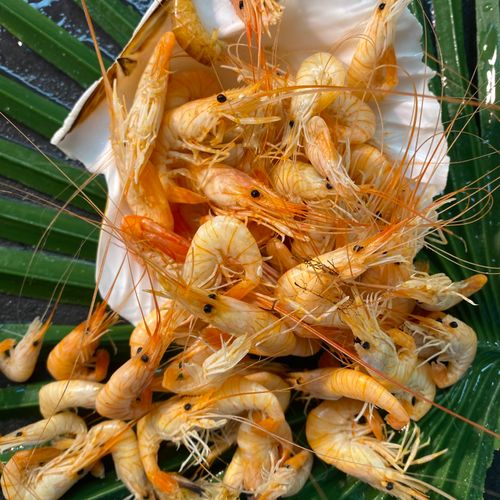 poissonnerie ouest lyonnais