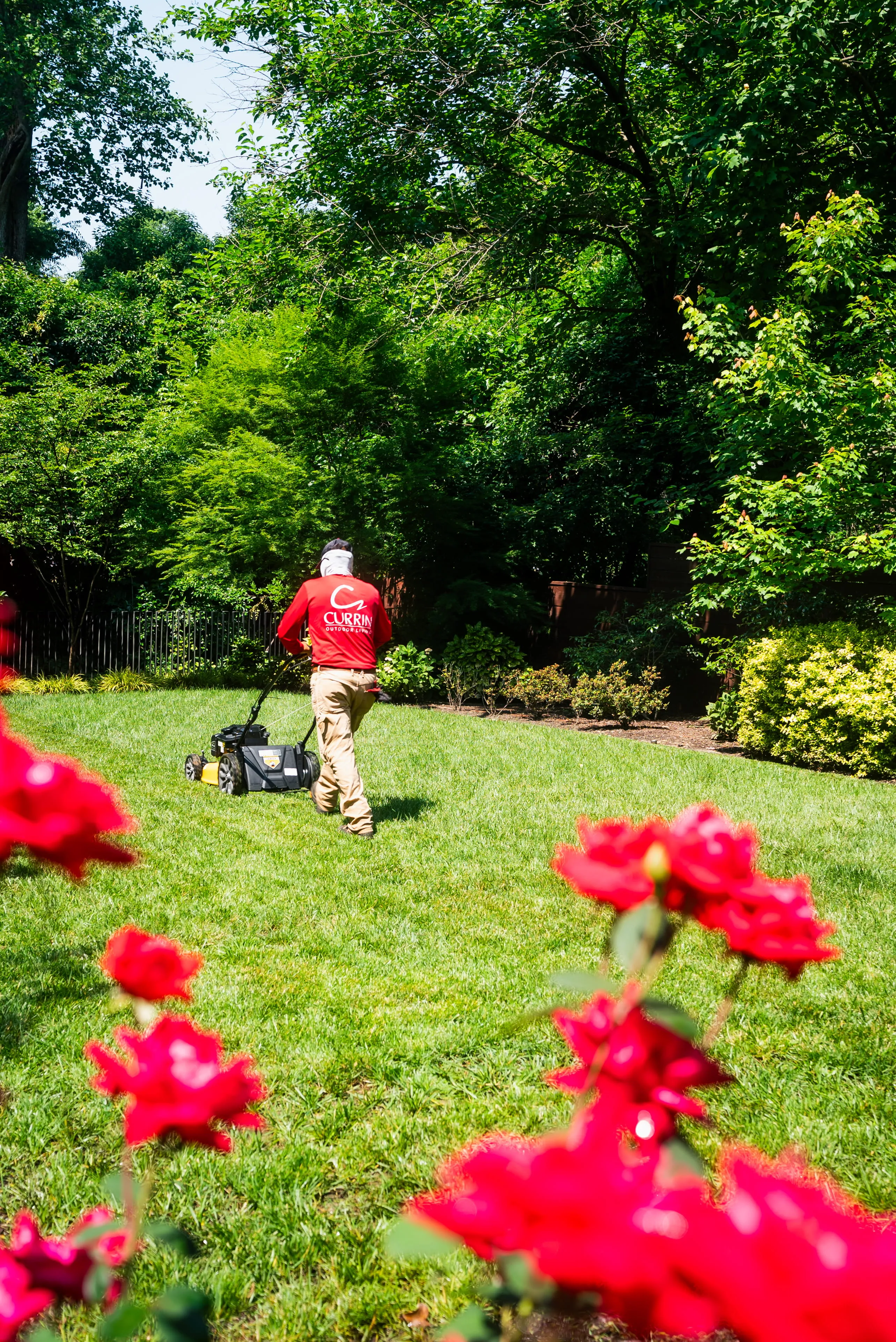 Professional landscape maintenance worker mowing a lush green lawn near red flowers in Raleigh, NC. Currin Outdoor Living.