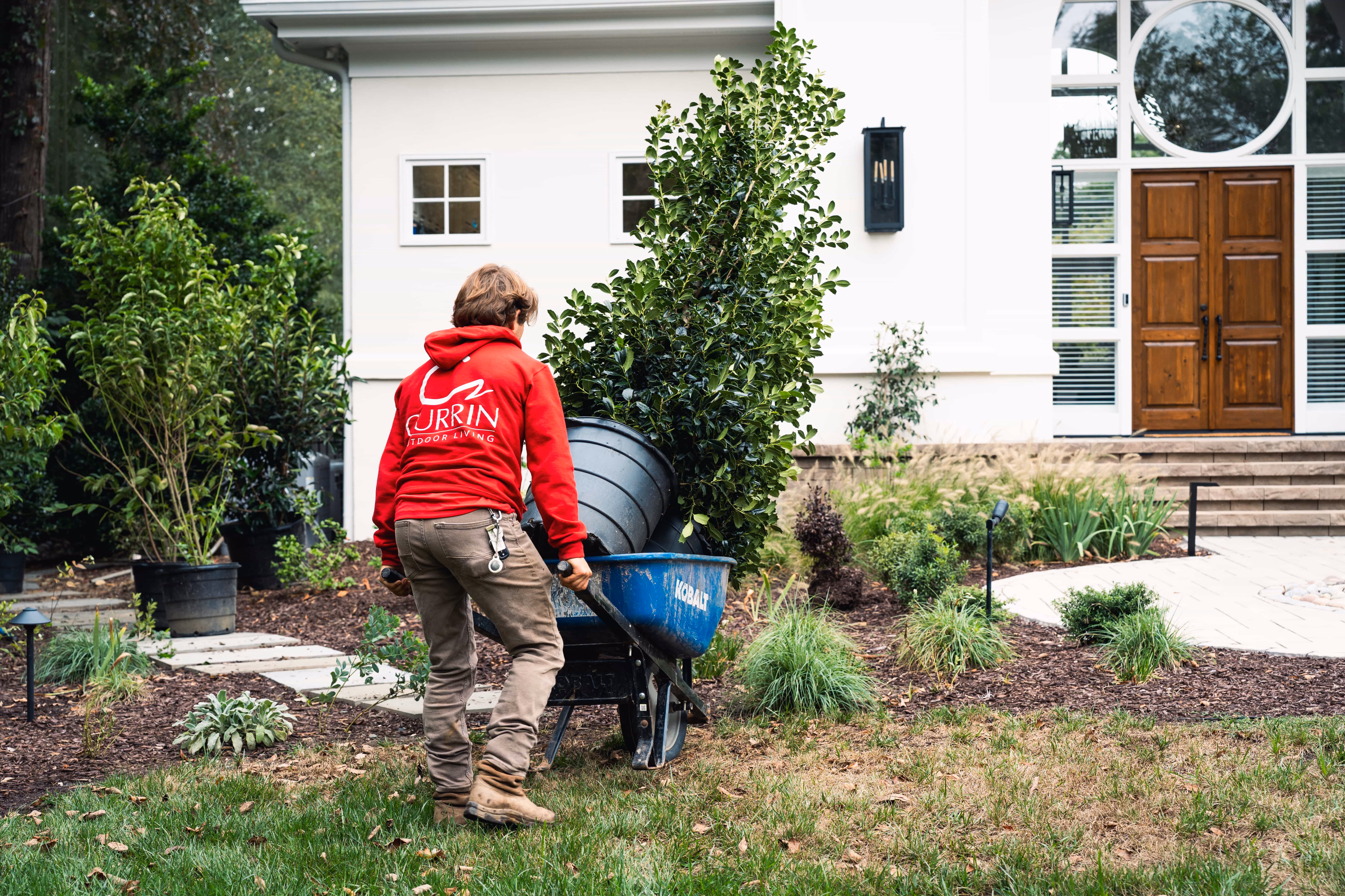 Ground-level view of a luxury residential backyard featuring professional garden maintenance, manicured shrubbery, and stone paver border installation by an outdoor living company in Raleigh, NC.