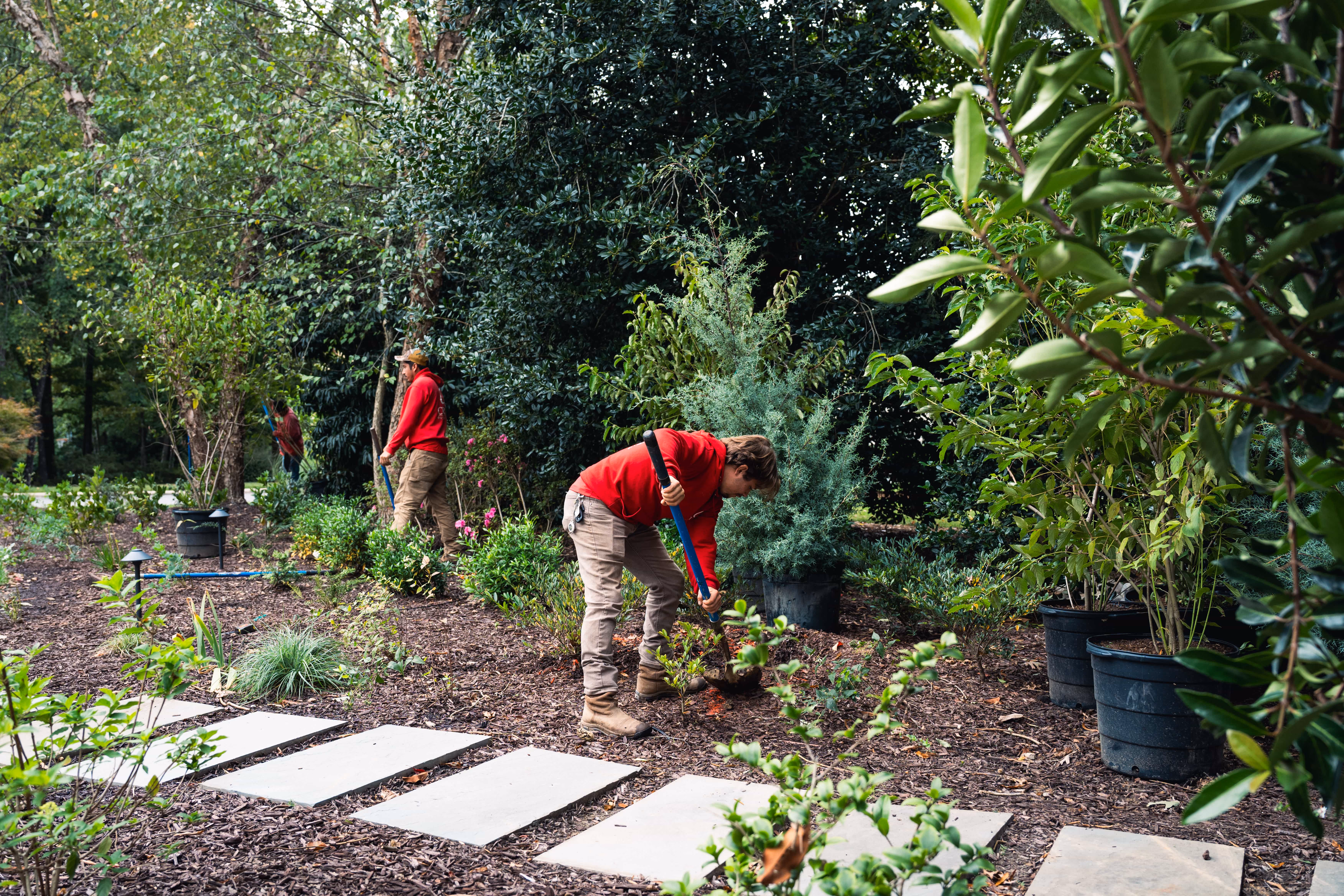 Ground-level view of a luxury residential backyard featuring professionally installed landscape bedding, vibrant garden plantings, and a custom stone paver border built by an outdoor living company in Raleigh, NC.