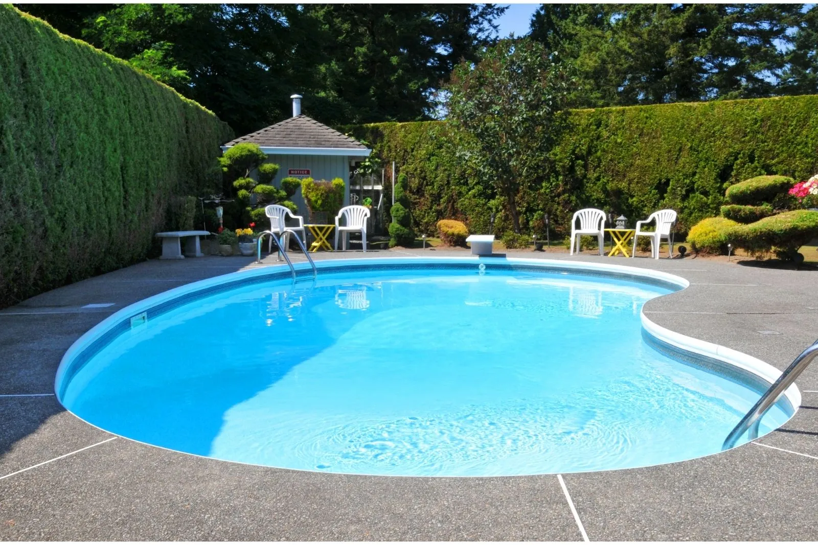 Custom curved inground swimming pool featuring concrete patio surround, entry handrails, and a tall evergreen privacy hedge in Chapel Hill, NC.