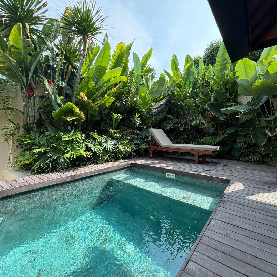 Custom small inground plunge pool featuring natural wood deck flooring, lush tropical garden foliage, and poolside lounge seating in Raleigh, NC.