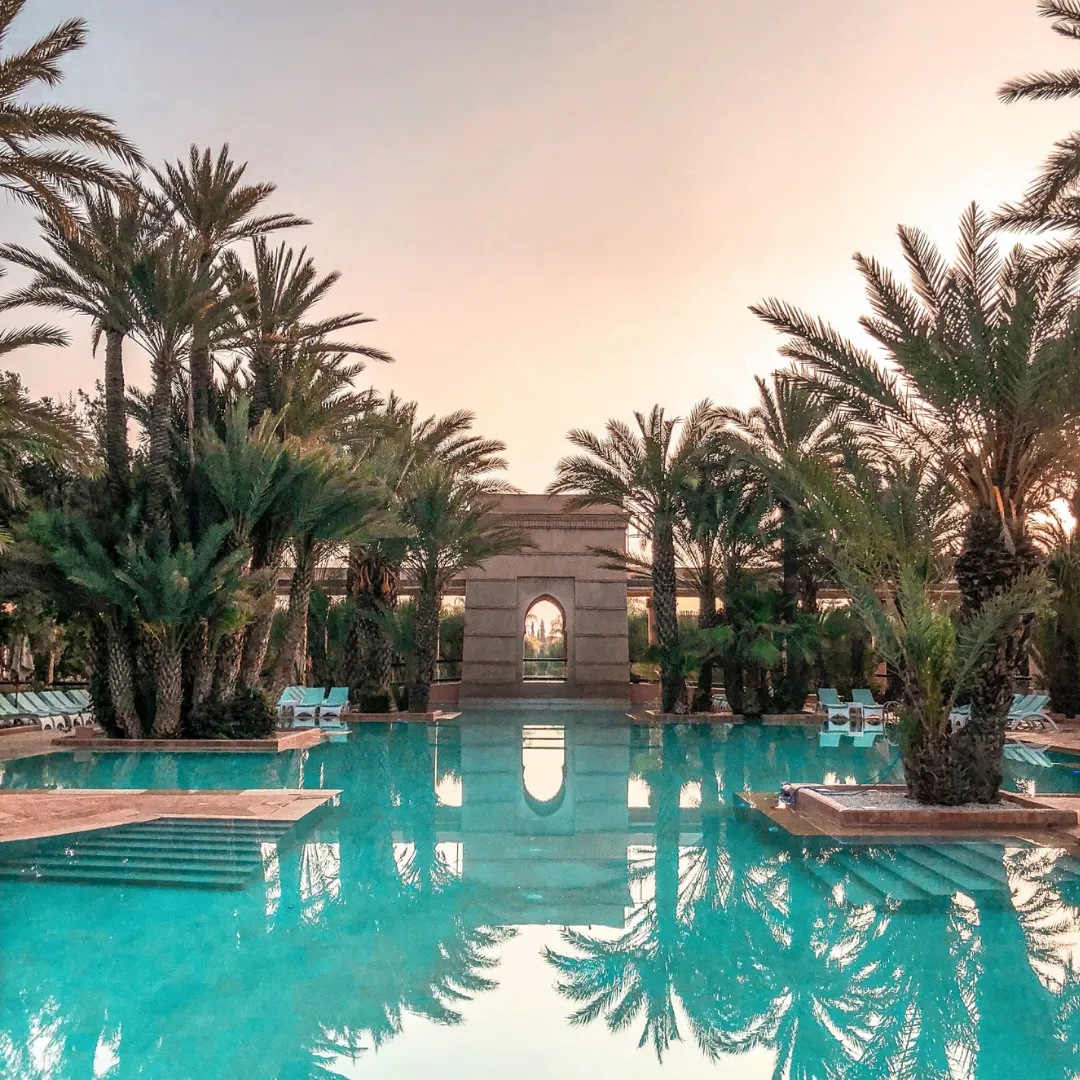 Luxury resort-style inground swimming pool surrounded by tropical palm tree landscaping and warm ambient sunset lighting in Raleigh, NC.