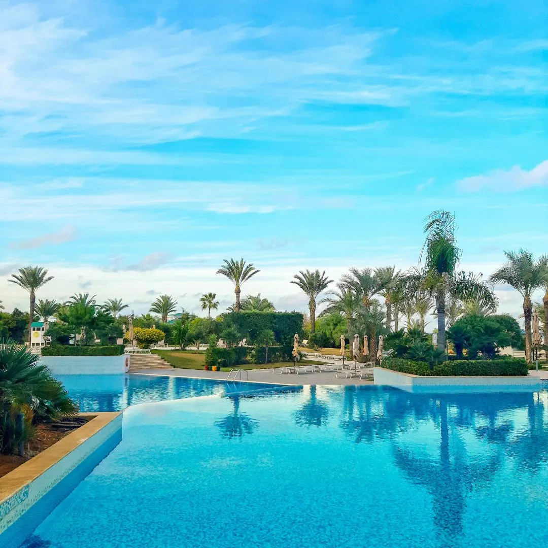 Luxury resort-style inground swimming pool with deep blue water surrounded by manicured lawns and palm tree landscaping in Raleigh, NC.