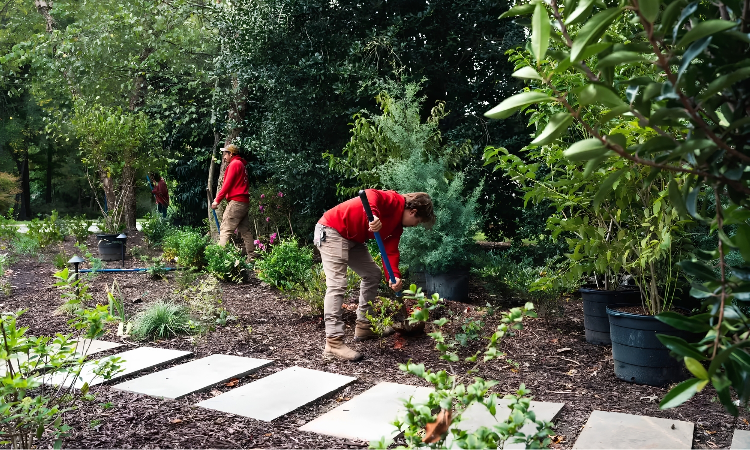 Currin Outdoor Living team members laying stone stepping stones in a lush Raleigh backyard landscape project