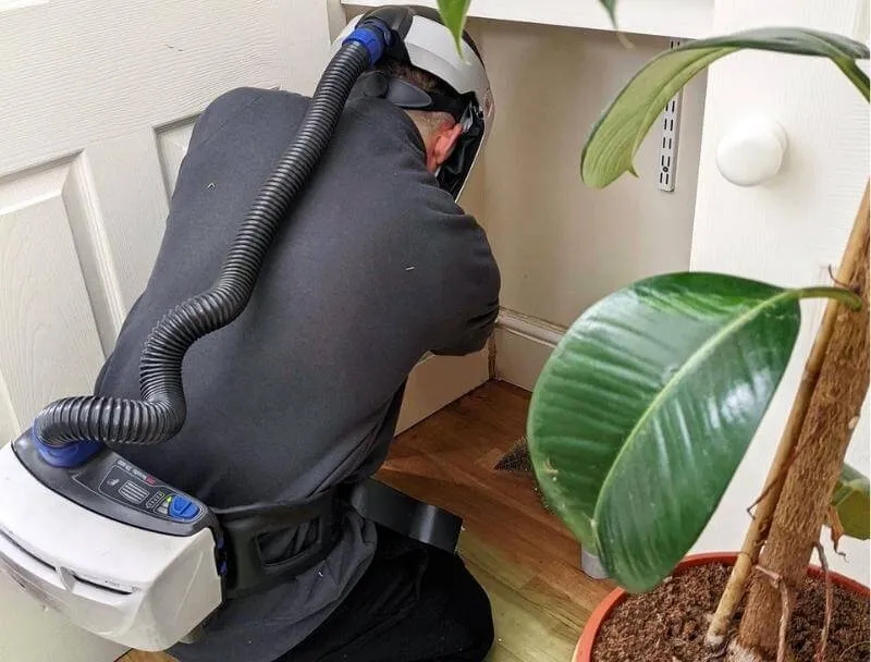 A photograph of one of our technicians surveying a property, looking for any mould growth and its potential cause(s)