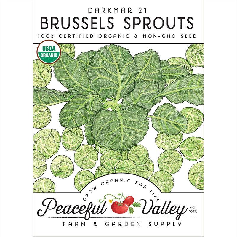 Organic Brussels Sprouts Seeds