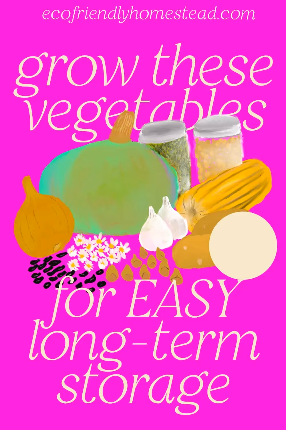 Store vegetables long-term, with or without electricity. Use this guide to get your homestead survival garden planted!