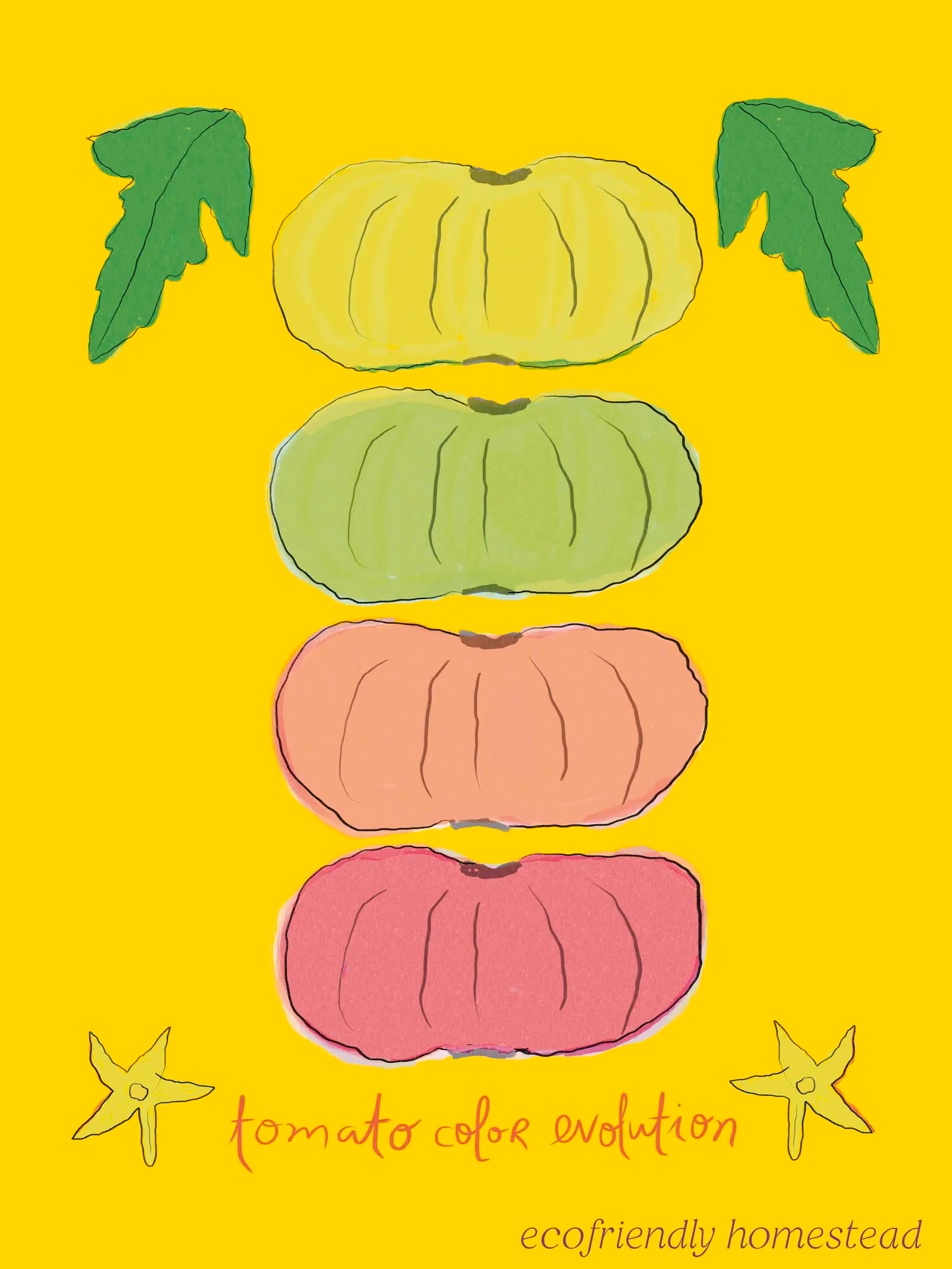 tomato self sufficiency